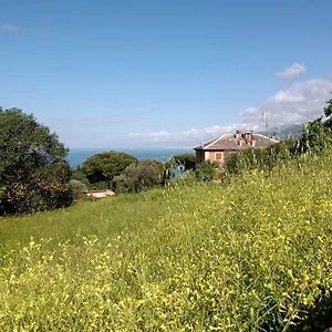 Casa Ninni Camogli